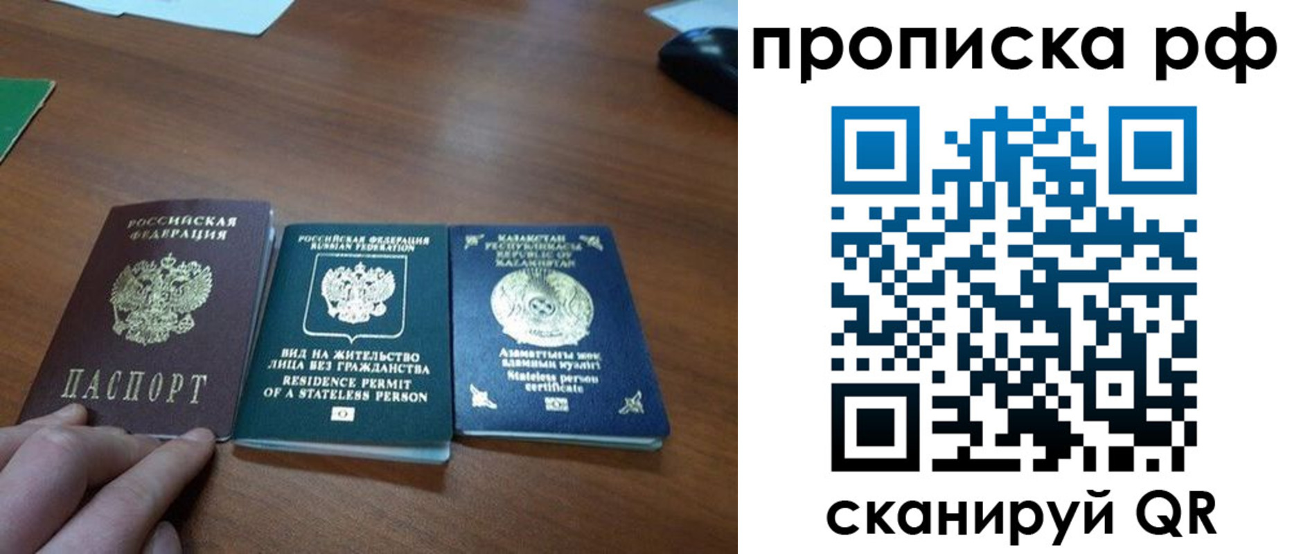 прописка поиск в Светлогорске