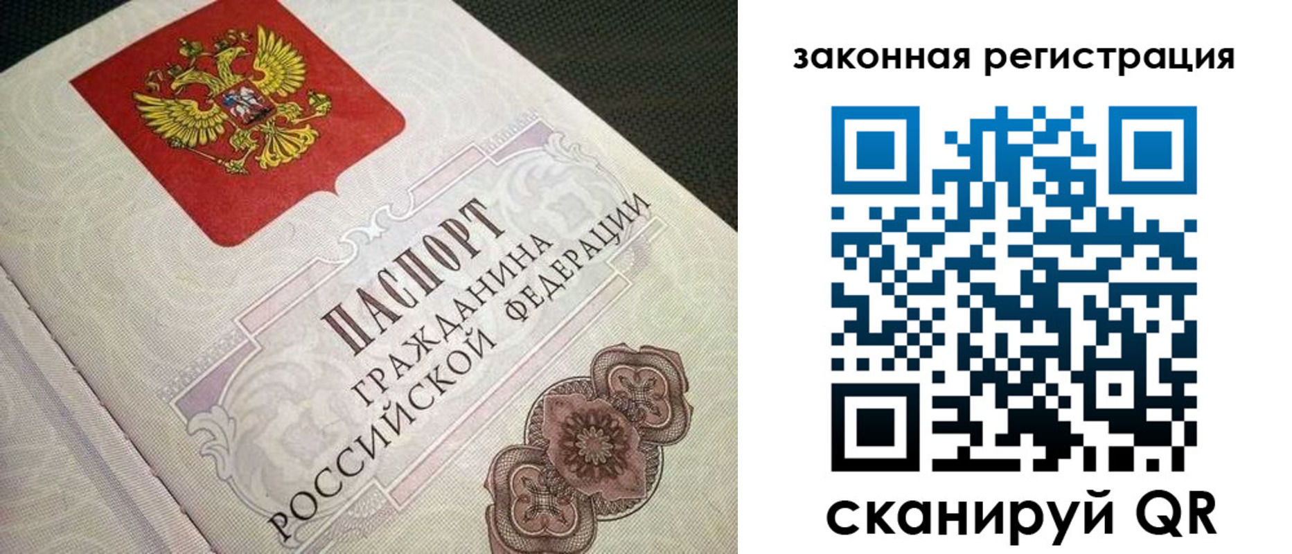 прописка в Светлогорске